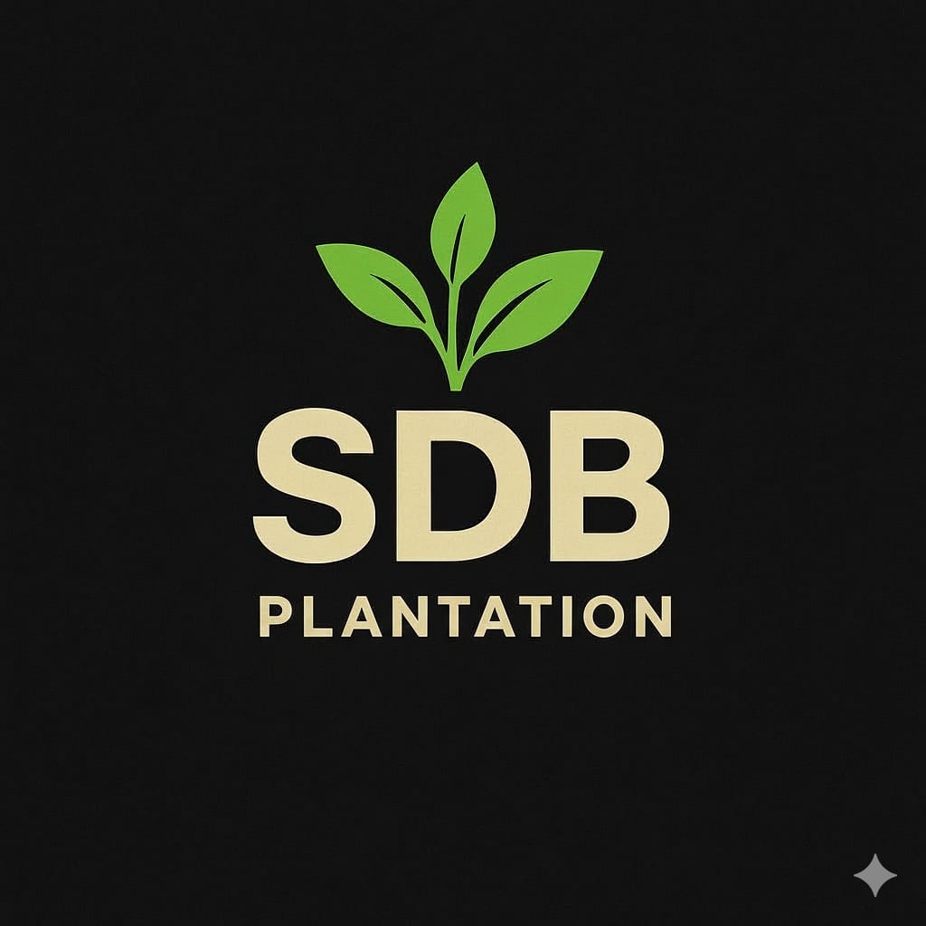 SDB Plantation logo